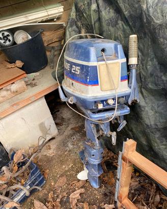 Ricambi Evinrude 25
