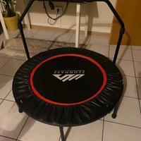 Trampolino zehnase