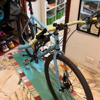 Surly preamble