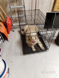 kennel usato ma in buono stato 