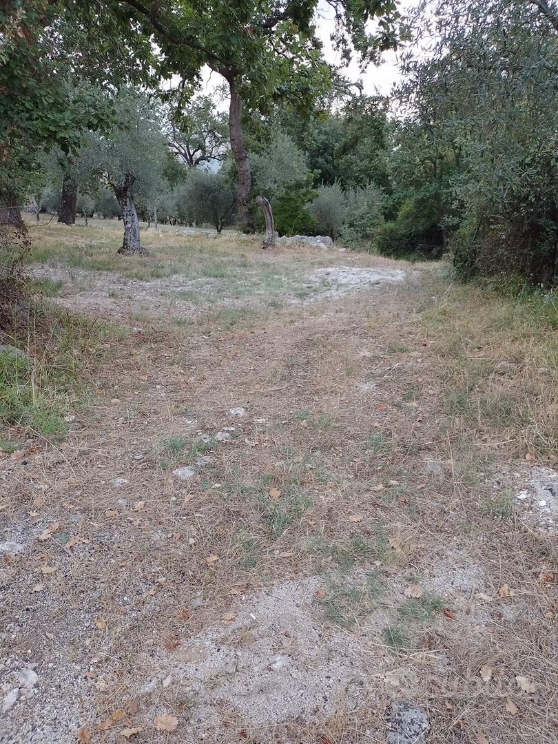 Terreno di 8000m circa - Vista 4