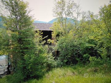 Rustico con terreno