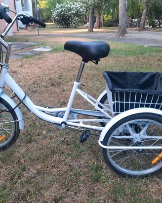 Bici tre ruote per adulti
