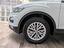 Immagine 7