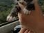 Immagine 4