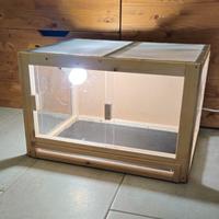Terrario geco rettili 55x40x35