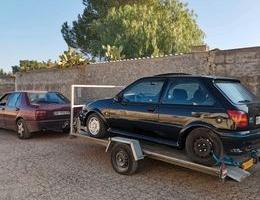 Rimorchio Ellebi monoasse rinforzato