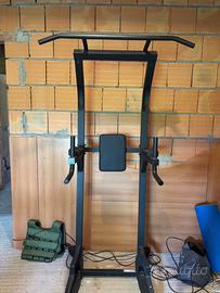 powertower calisthenics