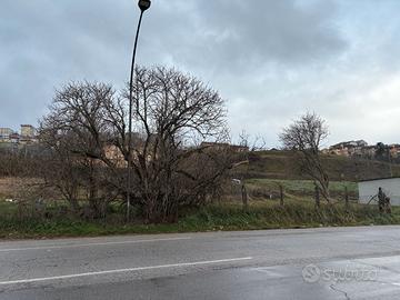 Terreno su viale del basento - alta visibilta'