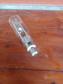 Lampadine 2000 watt