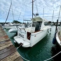 Barca da pesca Gobbi 255 FC