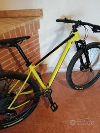 scott scale 980