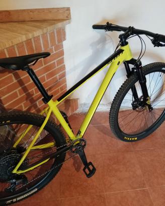 scott scale 980