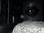 Immagine 29