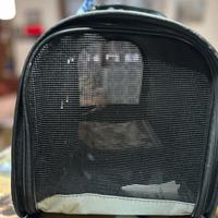 Borsa per cani piccola