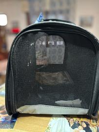 Borsa per cani piccola