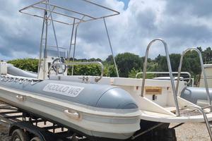 MODULO M + 235hp MERCRUISER 4.3 (TUTTO 2008)