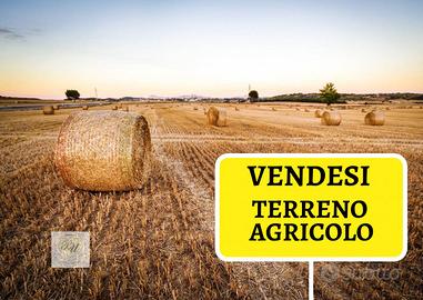 Rif.G121| terreno agricolo chioggia