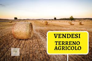 Rif.G121| terreno agricolo chioggia
