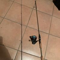 Canna spinning trote