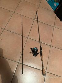 Canna spinning trote