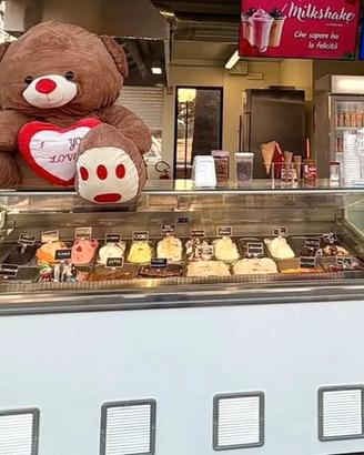 Vetrina Gelati 24 Gusti