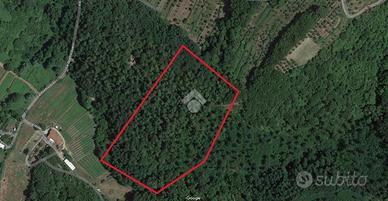 TER. AGRICOLO A PIEVE A NIEVOLE