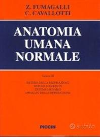 anatomia umana normale
