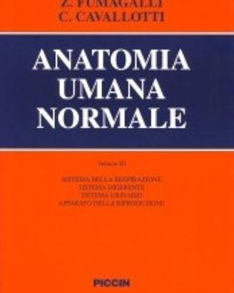 anatomia umana normale