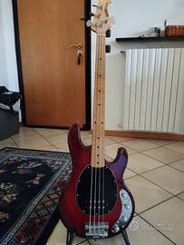 Music Man Stingray Mogar