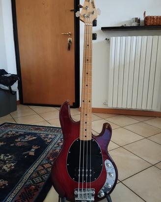 Music Man Stingray Mogar