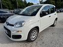 fiat-panda-1-2-benzina-70-cv-easy-09-2020