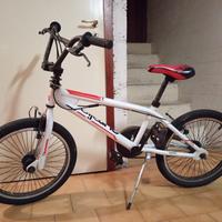 BMX Aurelia