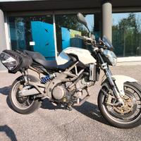 Shiver 750 bianca 2010