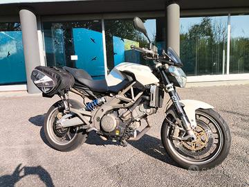 Shiver 750 bianca 2010