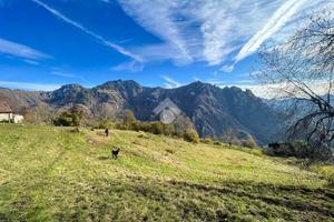 TERRENO A LAVENONE