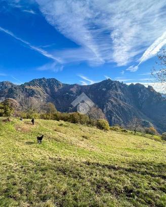 TERRENO A LAVENONE