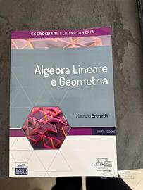 libro di geometria e algebra di teoria