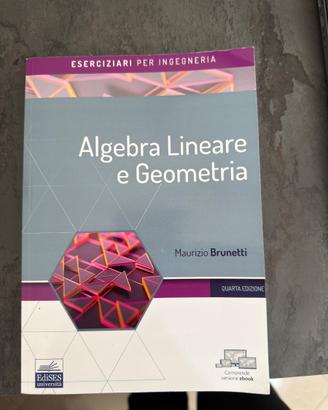 libro di geometria e algebra di teoria