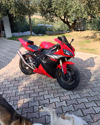 Yamaha r1 2003