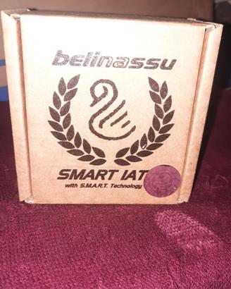Smart IAT  Aprilia Tuareg/Rally  660