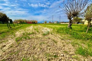 TER. RESIDENZIALE A MESTRINO