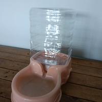 boccione acqua gatto o cane