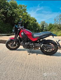 benelli leoncino 500