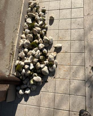 Sassi ciottoli bianchi decorativi da giardini