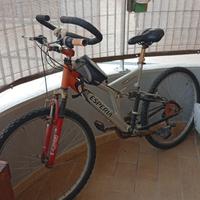 Bicicletta