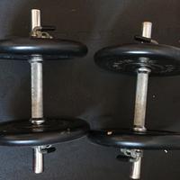 Coppia manubri gommati Fassi Sport 