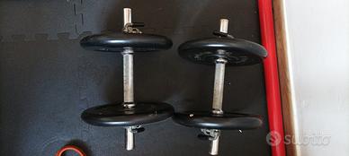 Coppia manubri gommati Fassi Sport 