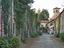 Immagine 6
