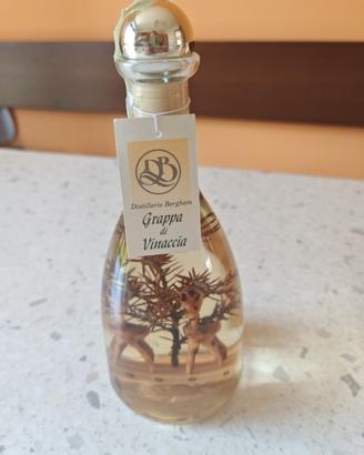 Grappa e vinaccia